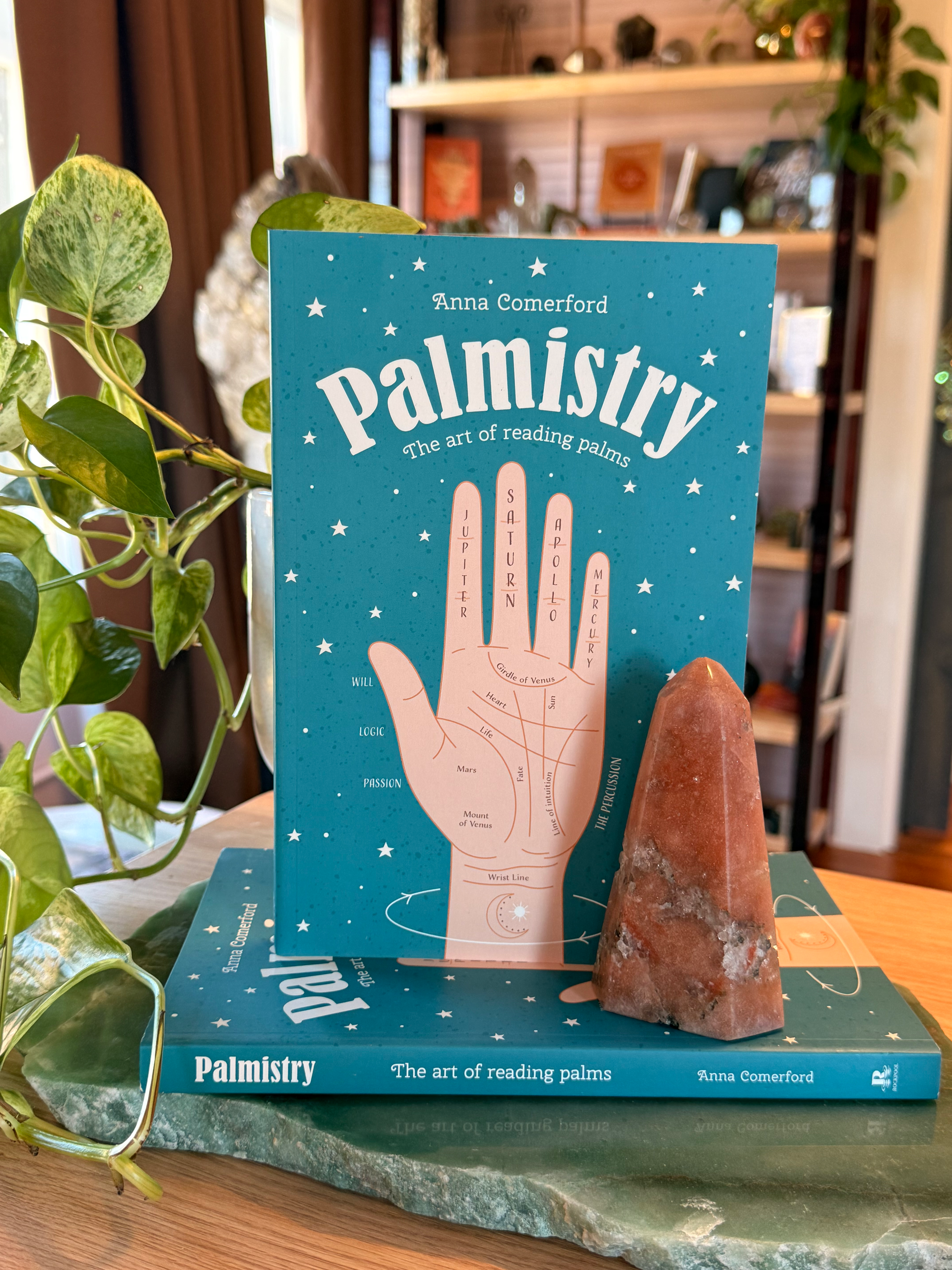 Palmistry: The Art of Reading Palms by Anna Comerford | Softcover Guide to Palm