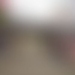 Winter Wonderland in Seoul: Unicity Reward Trip 2025 