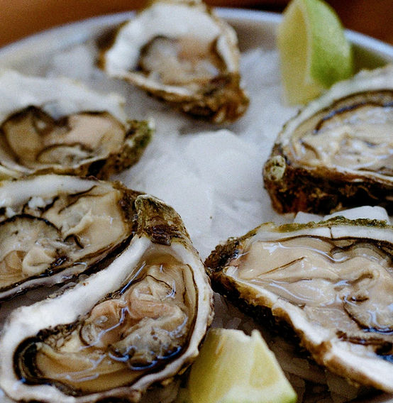 Carlingford Oysters.jpg