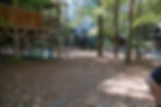 Treetop Camping @ Salisbury Camping and Adventure Park