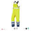 Miniaturbild: HL81 GORE-TEX Latzhose 555 "body_shell" Vorderseite