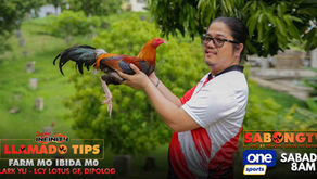 Bisitahin ang LCY Lotus Gamefarm ni Clary Yu sa Dipolog hatid ng Supremo Infinity Llamado Tips (March 9, 2024)