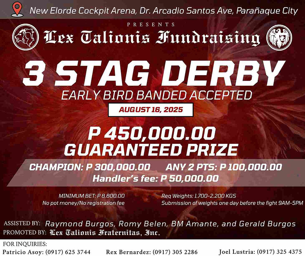 sabong, cockfighting, sabongtv, gamefowl, gamefarm, sabong philippines, cockfight, sabong derby, tupada, manok