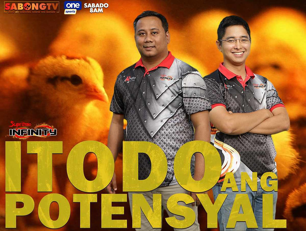 sabong, cockfighting, sabongtv, gamefowl, gamefarm, sabong philippines, cockfight, sabong derby, tupada, manok