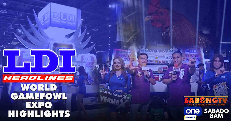 sabong, cockfighting, sabongtv, gamefowl, gamefarm, sabong philippines, cockfight, sabong derby, tupada, manok