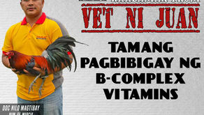Vet ni Juan Practical Tips sa Tamang Pagbibigay ng B Complex Vitamins Injections sa mga Alaga Ibibigay ni Doc Nilo Magtibay (July 12, 2025)
