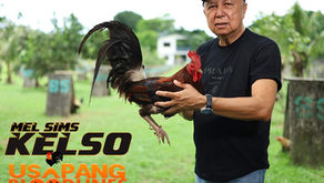 Mga Mel Sims Kelso ni Al Estudillo ng AE Covina Farm Ibibida ang mga Katangian at Crosses nito sa Usapang Bloodlines (July 19, 2025)