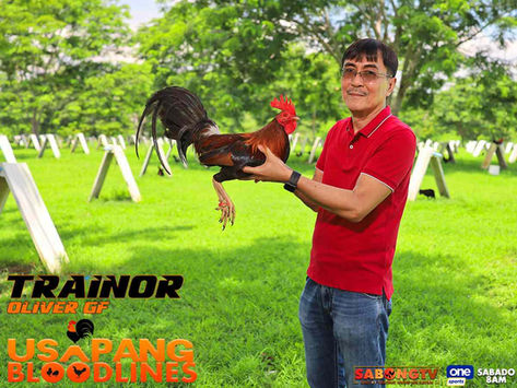 Alamin kay Nestor Vendivil ng Oliver Gamefarm ang mga Natatanging Katangian ng Linyadang Trainor sa Usapang Bloodlines (August 2, 2025)