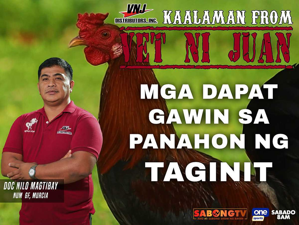 sabong, cockfighting, sabongtv, gamefowl, gamefarm, sabong philippines, cockfight, sabong derby, tupada, manok