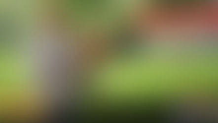 Thunderbird Fuel Your Passion kasama si Jeff Berberabe ng JNBER Gamefarm (November 4, 2023)