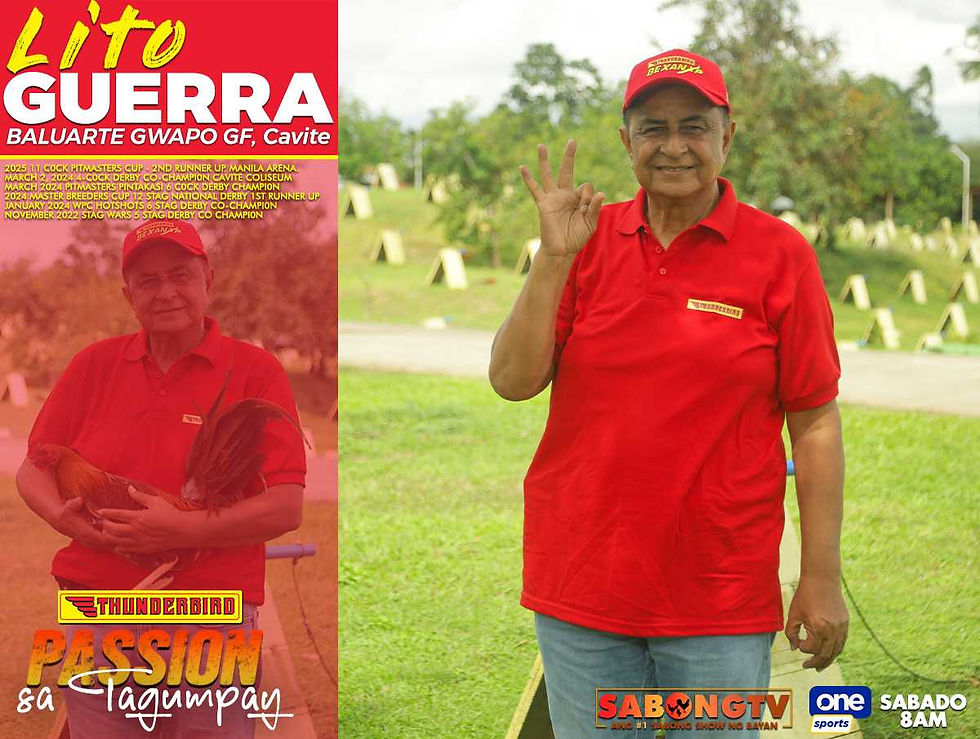 sabong, cockfighting, sabongtv, gamefowl, gamefarm, sabong philippines, cockfight, sabong derby, tupada, manok