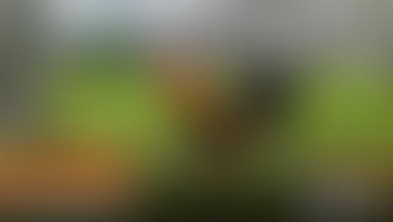 Long-time at Legendary Breeder na si Joe Alimbuyuguen sa Usapang Bloodlines (August 12, 2023)