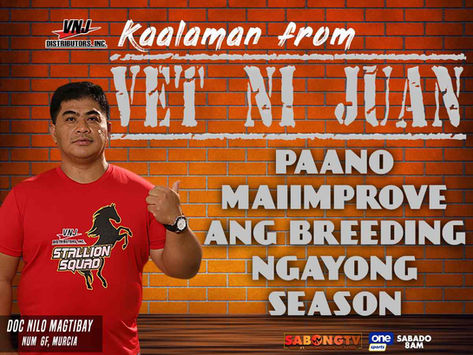 Mga Payo ni Doc Nilo Magtibay sa mga Dapat Gawin sa Pagpapalahi Tunghayan sa Kaalaman from Vet ni Juan (August 9, 2025)