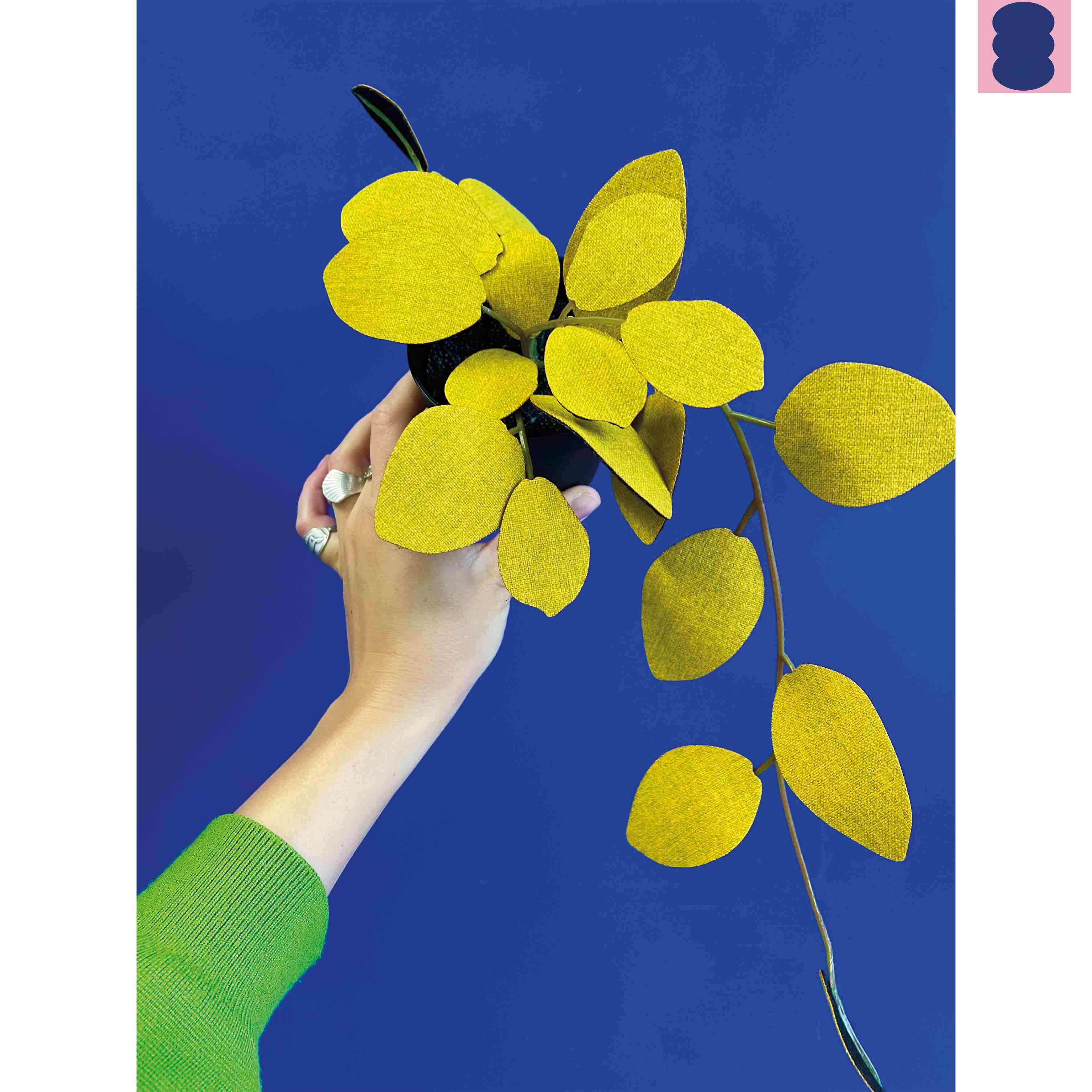 Echt Nep - Poppeia - Yellow