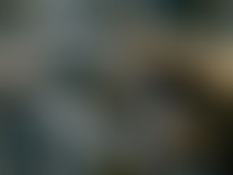 O Medo é Real, o Perigo Não: Quais os verdadeiros riscos do Bungee Jump e Rope Jump?