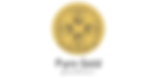 Pure Gold Foundation | ACIC-CACI
