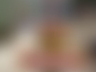 Member Spotlight: NSCC International