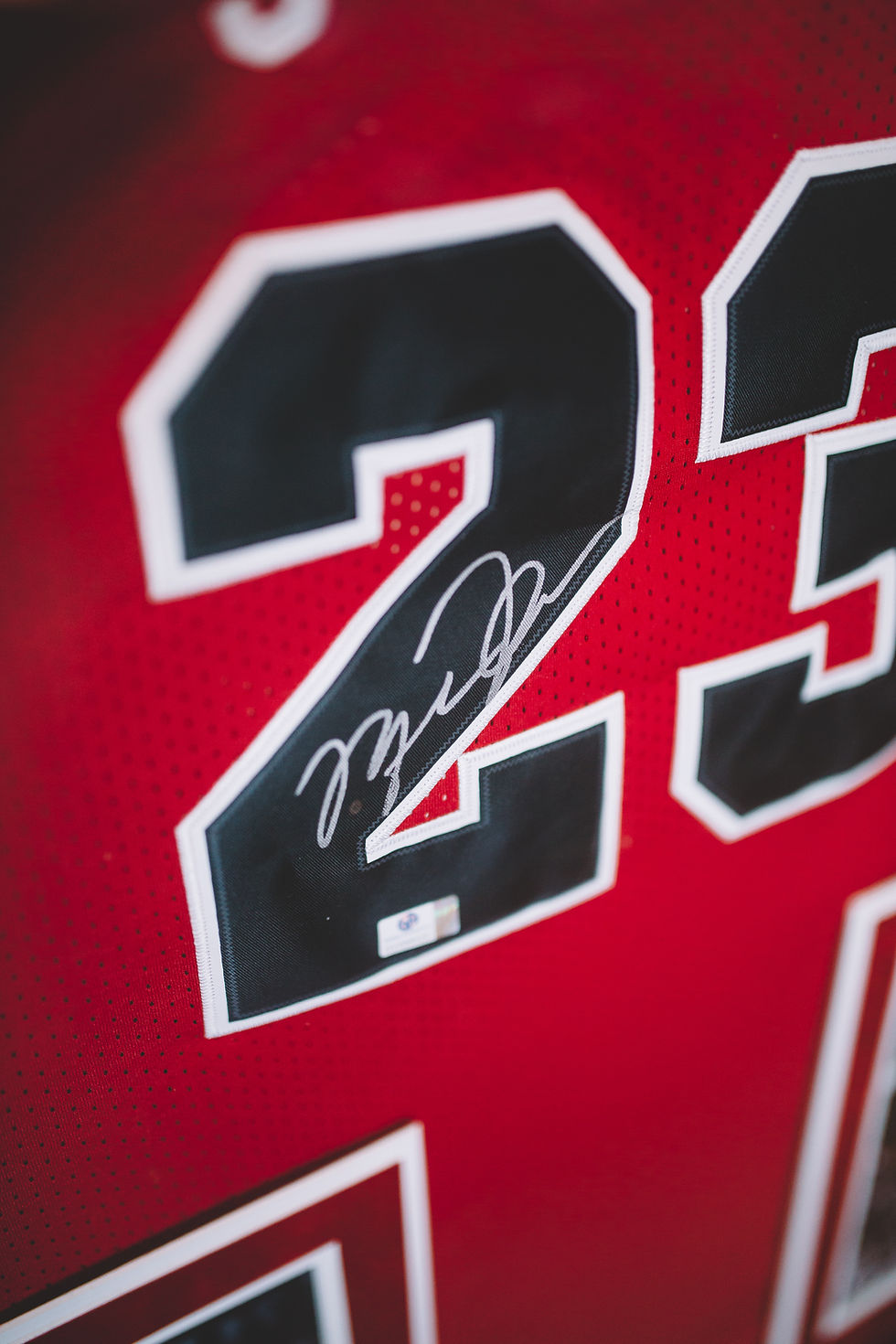 Thumbnail: Michael Jordan Framed Red Bulls Jersey