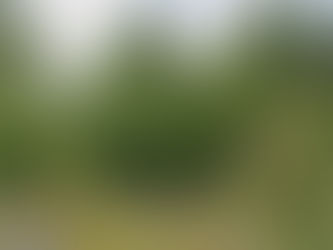 What is the best way to start a garden for beginners?