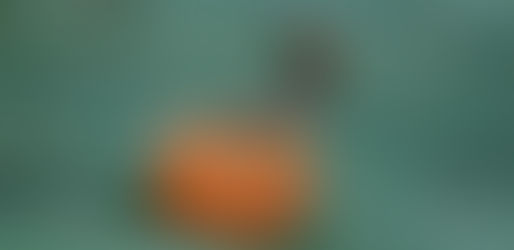 Eco-Friendly Fun: 3 Ways to Repurpose Your Halloween Pumpkins