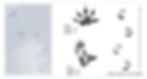 https://wildlifeillinois.org/discover-animal-signs/opossum-tracks/