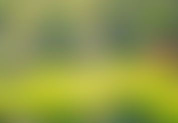 How Smart Landscaping Can Lower Your Energy Bills and Create a Comfortable Oasis