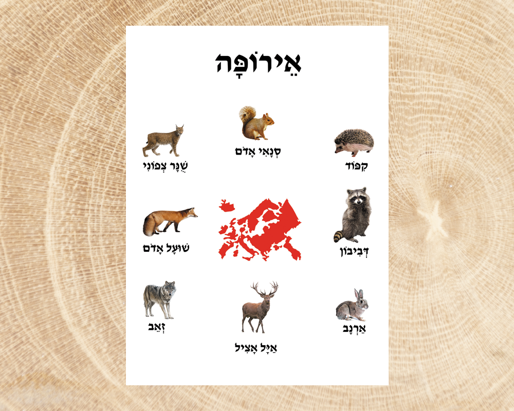 פוסטר בע"ח באירופה