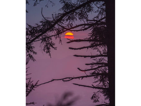 El color del frío / The color of the cold