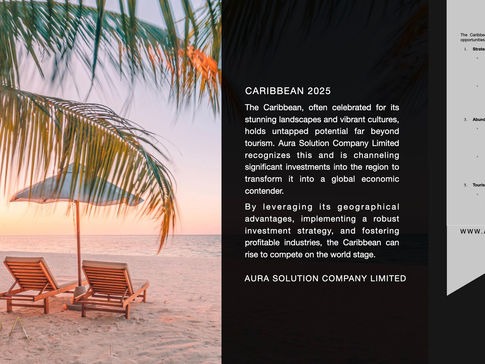 The Caribbean Investment strategy : Aura Solution Company Limited 