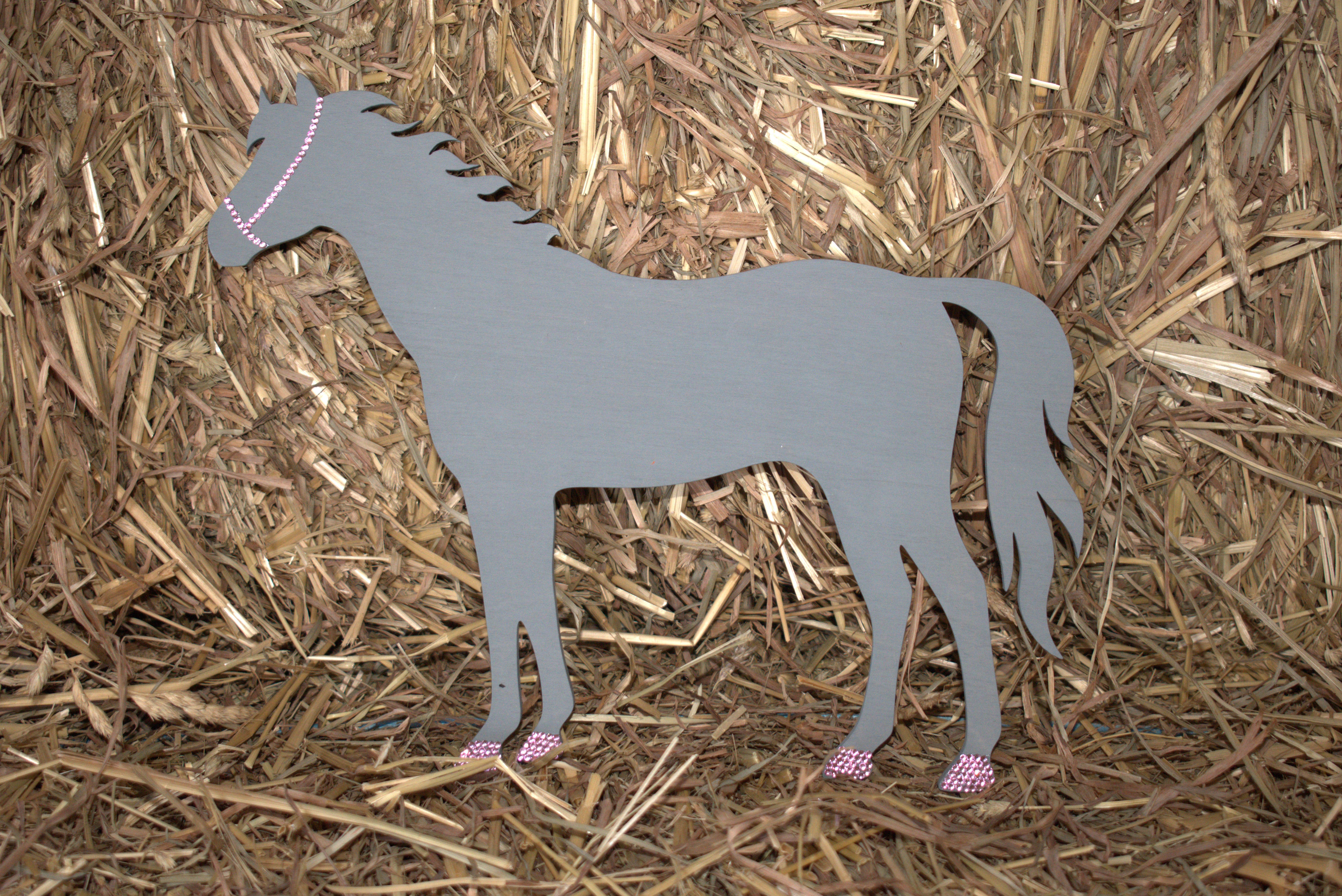 Gray Horse