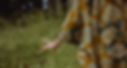_D3A8829_edited.jpg
