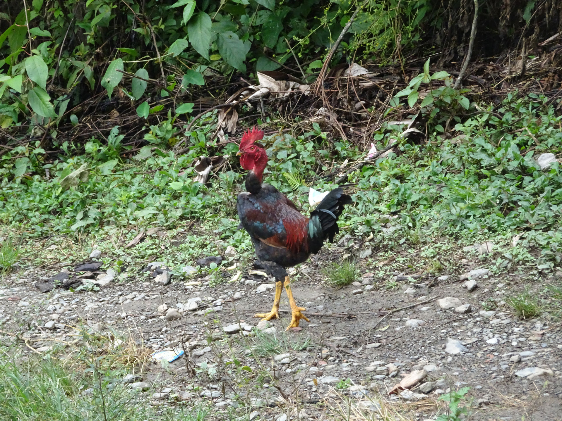 DSC08468