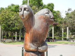 DSCN6338