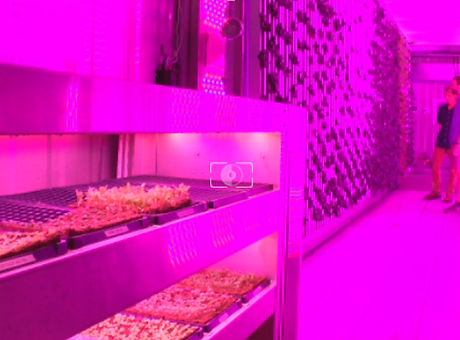 Screen Shot 2021-11-18 at 2.45.05 AM.png