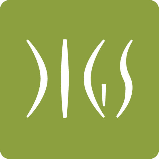 Digs Logo copy.jpg