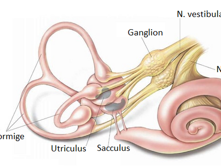 BPPD Benigne Paroxismale Positie Duizeligheid