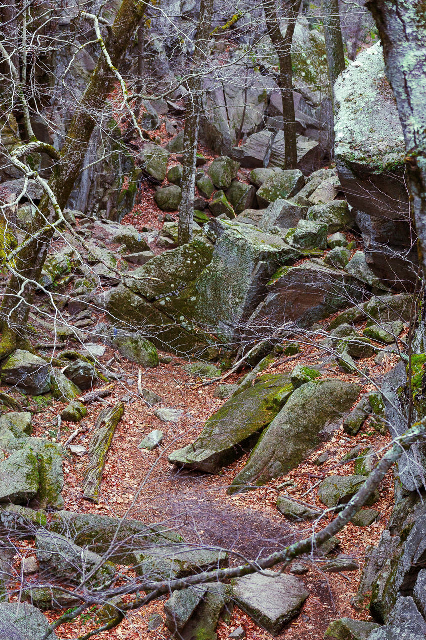 boulder rocks on a hiking trail. 