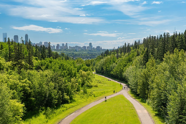 mackinnon-ravine-park-glenora-edmonton-holland-and-associates-real-estate.jpeg