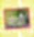 SLE_Home-4.png