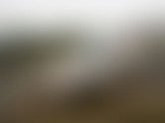 Remontada de Piru Castro en el Rallye de Ferrol