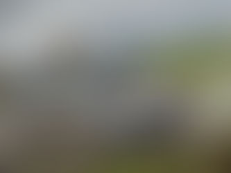 Los Bouza firman el quinto puesto absoluto en el Rali do Cocido.