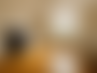 The Vinyl Flooring Mystery