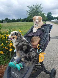 171794241_235743701381805_51528327135775