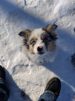 171814794_1409941049345759_6633046628038