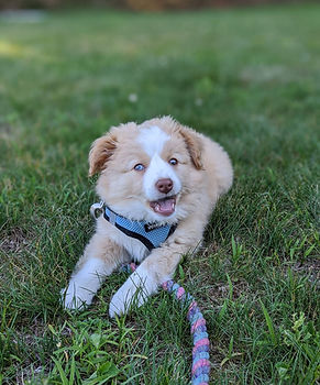 107279055_4008603472543004_2966929439034