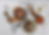 Screenshot 2025-04-01 at 11-02-36 Rakstone-World-2024.pdf