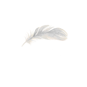 logotip pero svetovanje in terapija