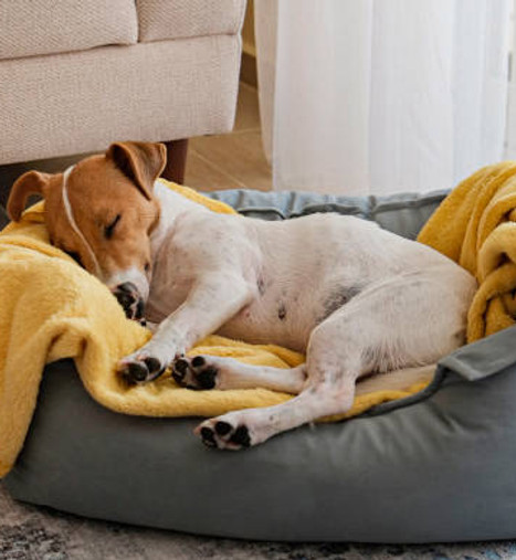 Having a well earned rest