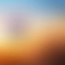 My Top Ten Activities for Surviving Isolation. 