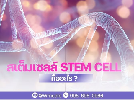 สเต็มเซลล์ (𝘀𝘁𝗲𝗺 𝗰𝗲𝗹𝗹) คืออะไร